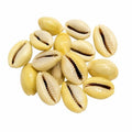 Natural Yellow Kowri Shells (Pili Kudi) – Sacred Laxmi Puja Shells
